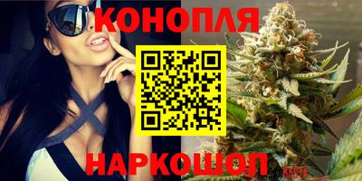 PSILOCYBIN Кандалакша