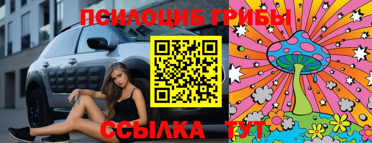 Галлюциногенные грибы Cubensis  наркотики  Курчатов  Вход с VPN  Галлюциногенные грибы Psilocybine cubensis 
