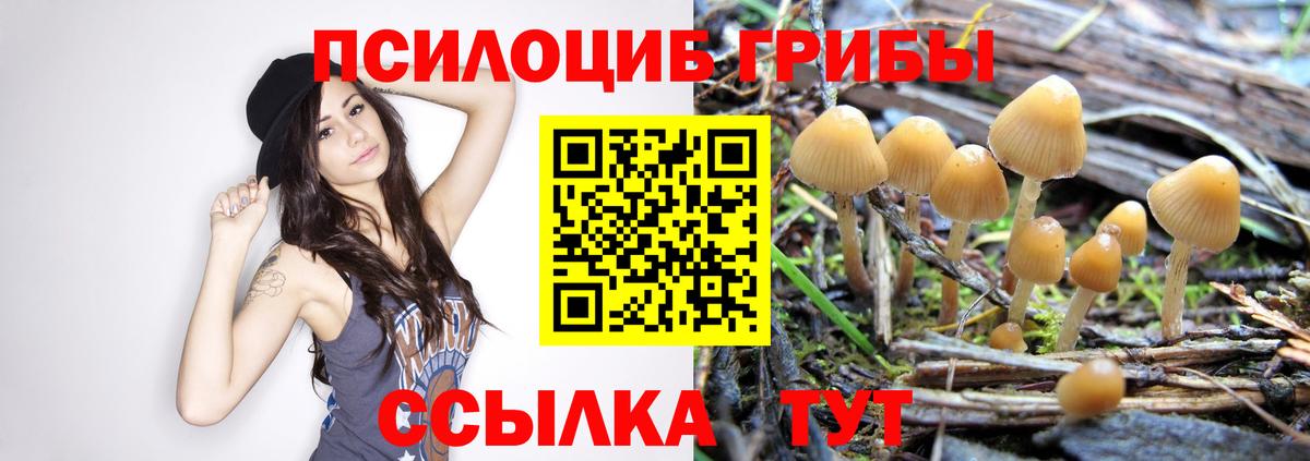 Галлюциногенные грибы Magic Shrooms Курчатов